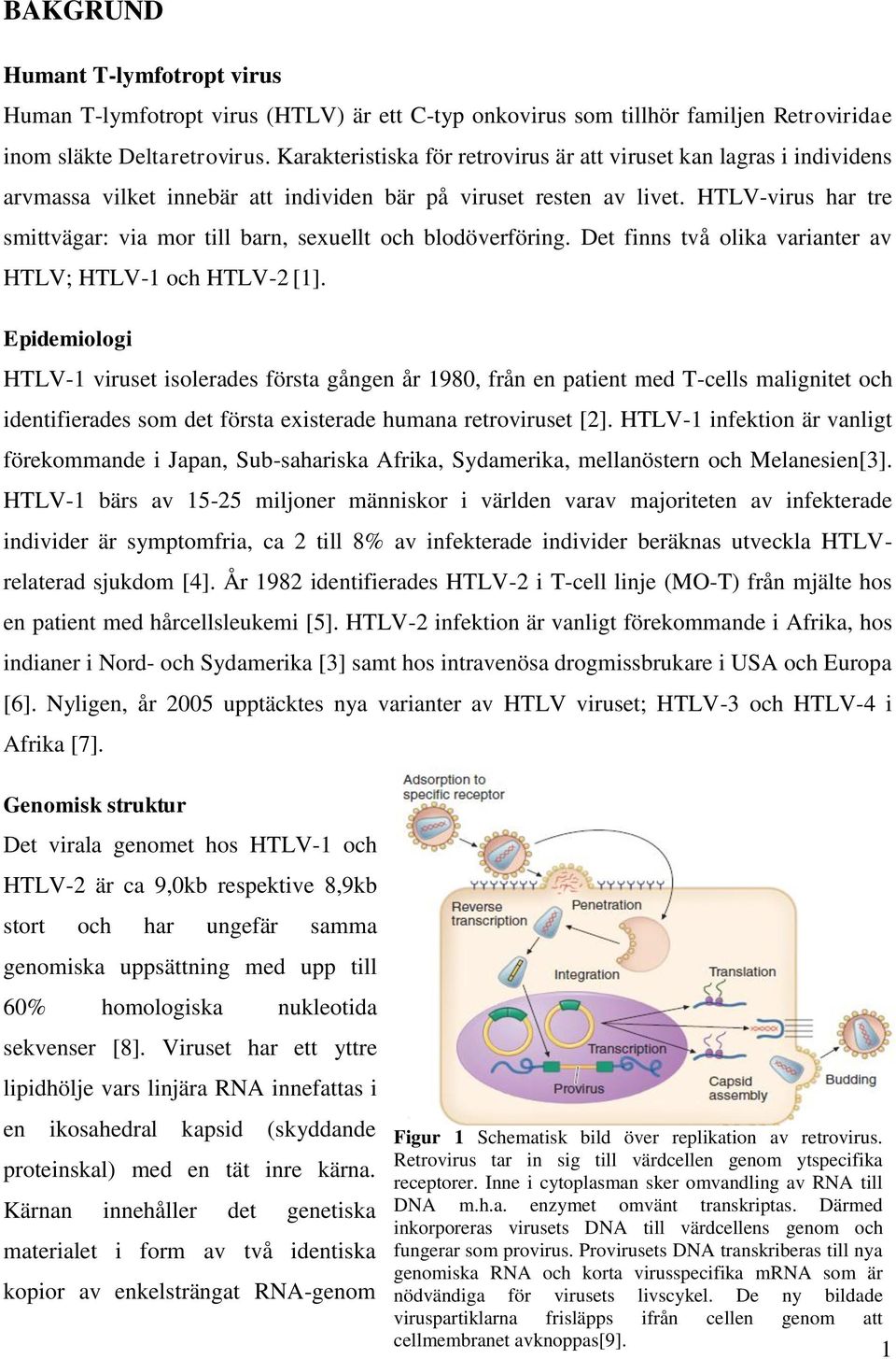 HTLV-virus har tre smittvägar: via mor till barn, sexuellt och blodöverföring. Det finns två olika varianter av HTLV; HTLV-1 och HTLV-2 [1].