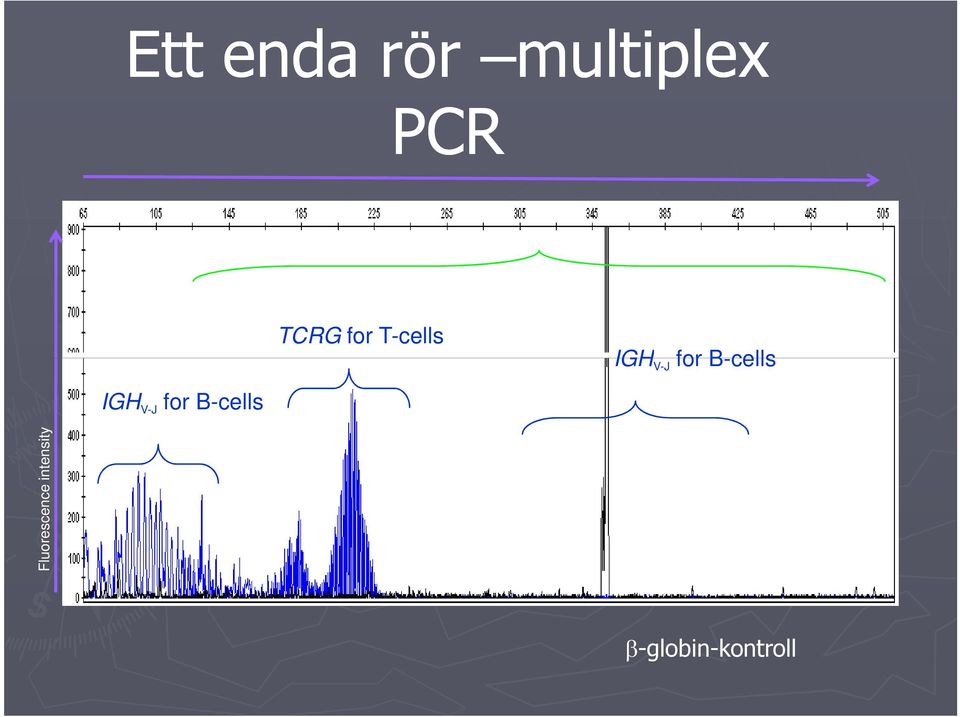 B-cells IGH V-J for B-cells