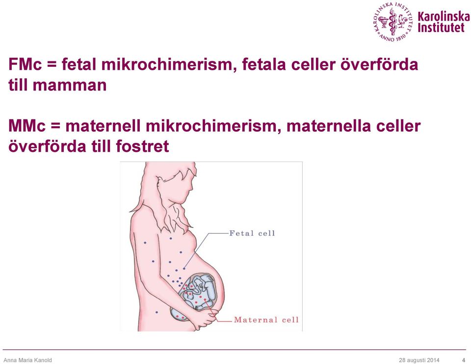 mikrochimerism, maternella celler