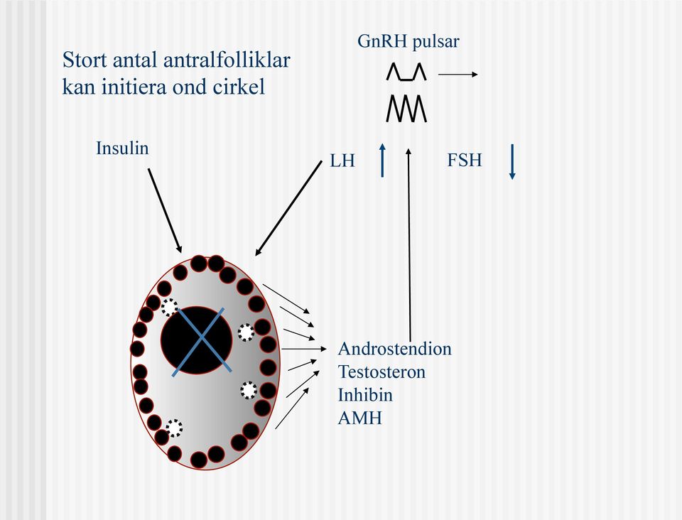 pulsar Insulin LH FSH