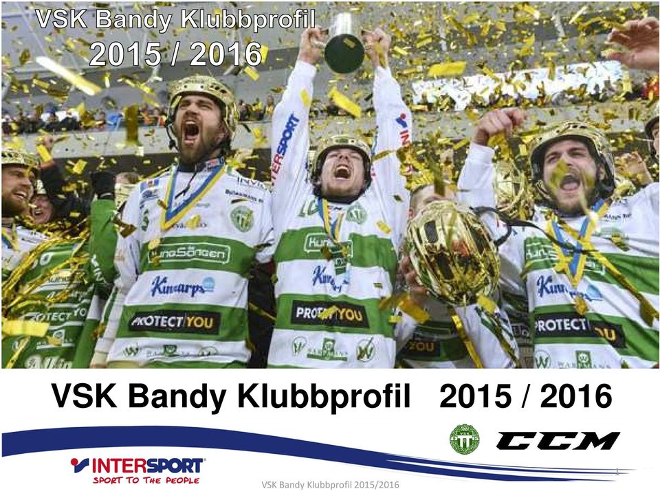 VSK Bandy