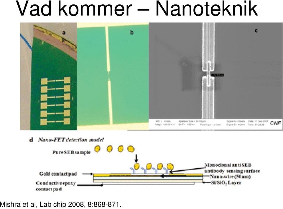 Mishra et al,