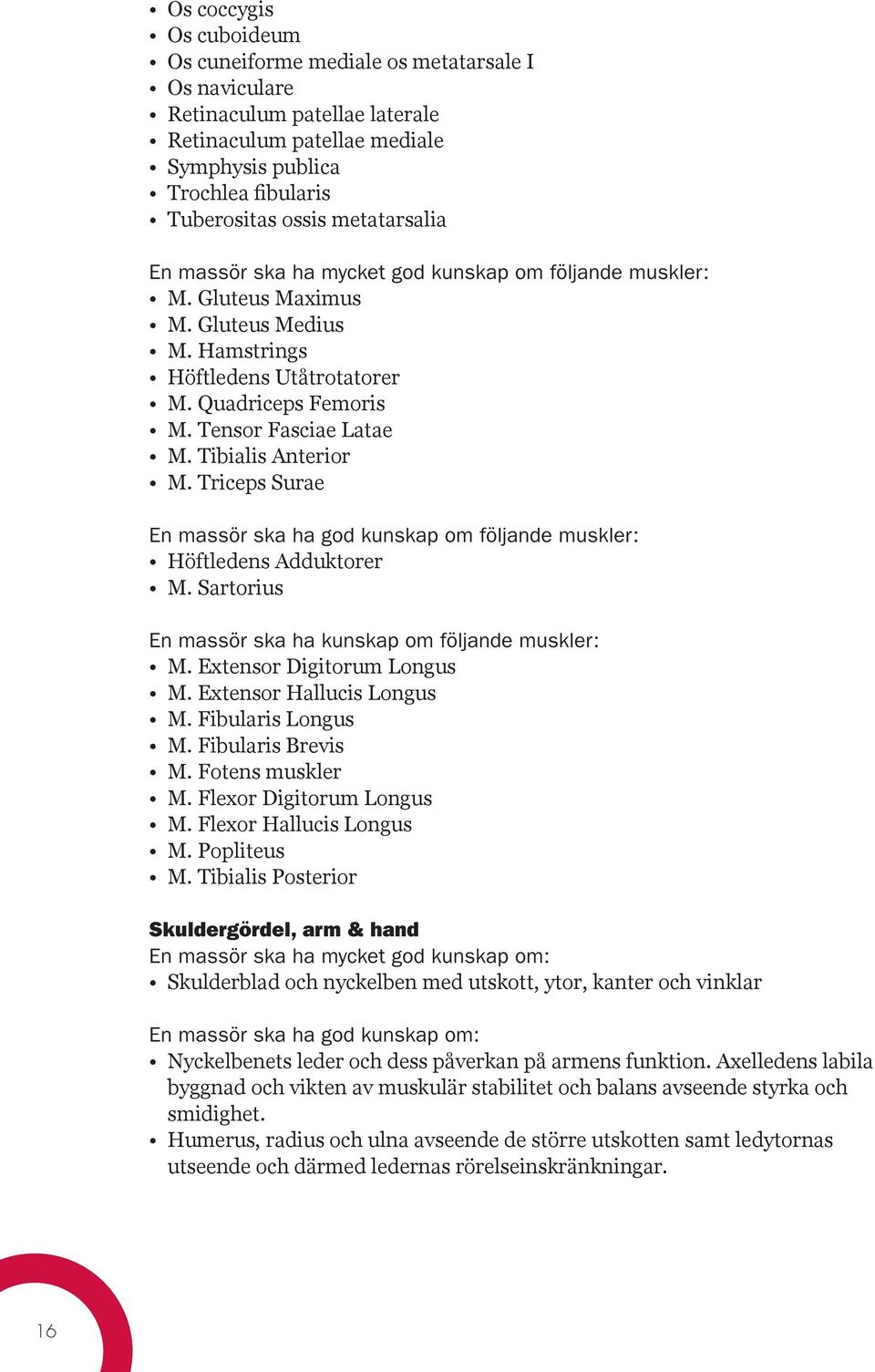 Tibialis Anterior M. Triceps Surae En massör ska ha god kunskap om följande muskler: Höftledens Adduktorer M. Sartorius En massör ska ha kunskap om följande muskler: M. Extensor Digitorum Longus M.