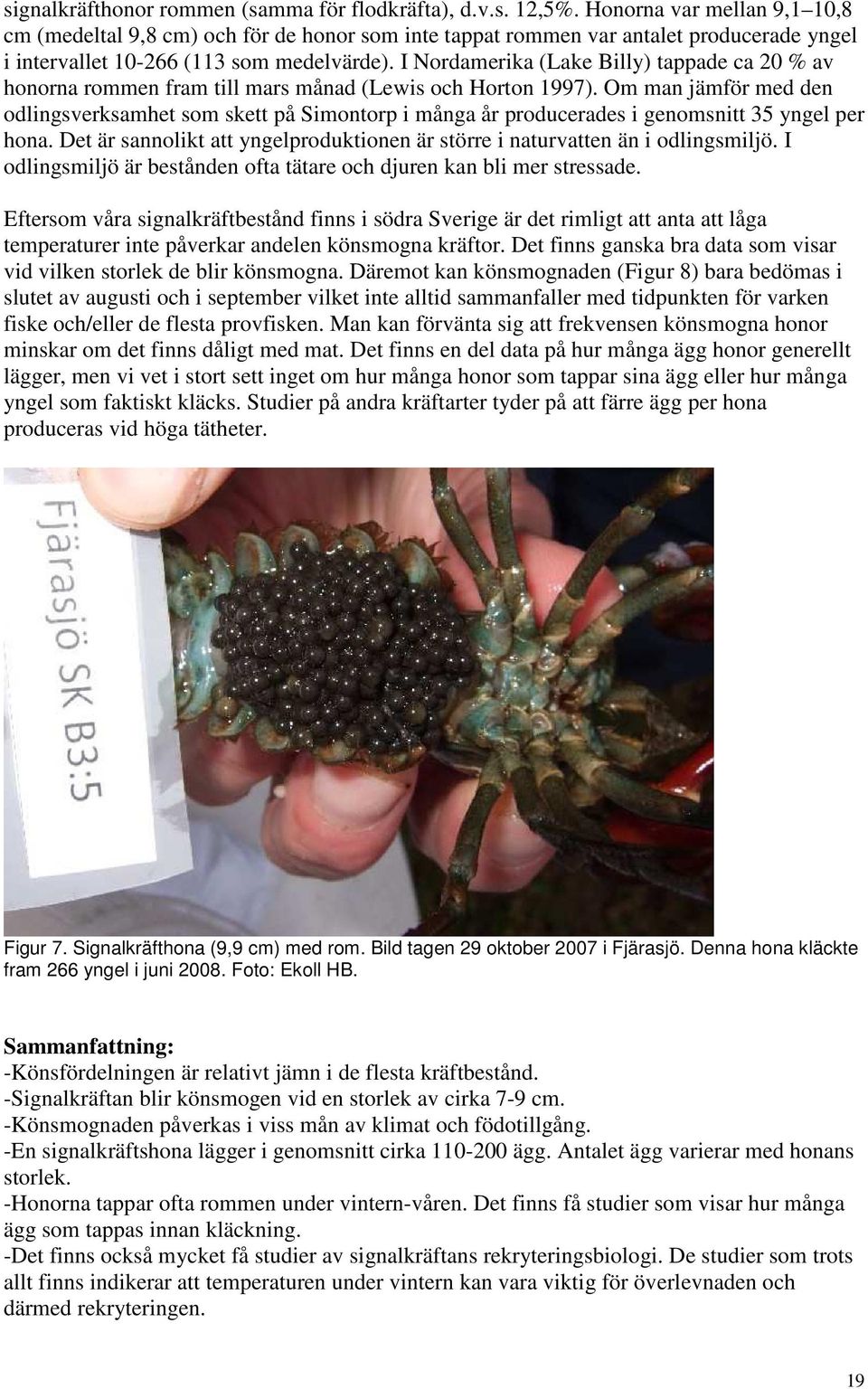 I Nordamerika (Lake Billy) tappade ca 20 % av honorna rommen fram till mars månad (Lewis och Horton 1997).