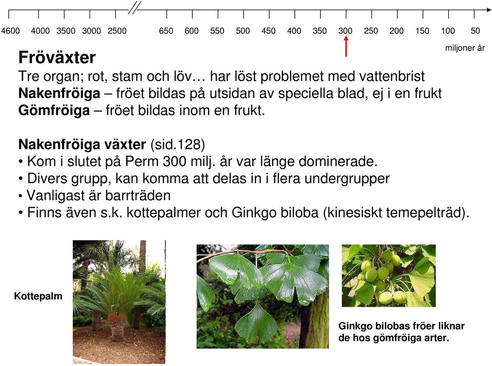 128) Kom i slutet på Perm 300 milj. år var länge dominerade.