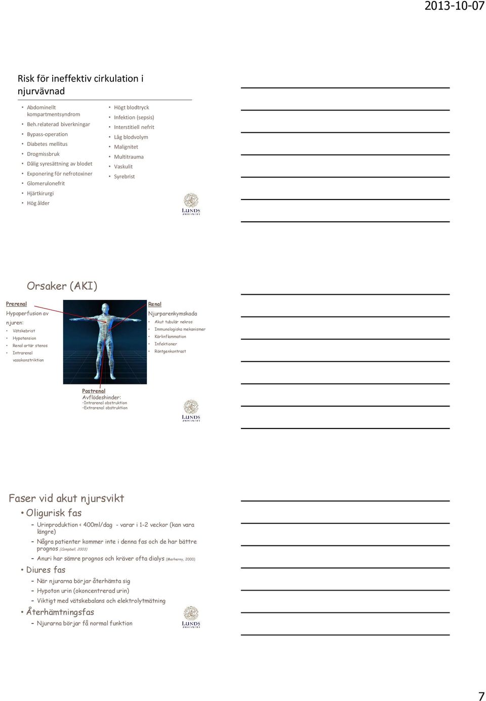 (sepsis) Interstitiell nefrit Låg blodvolym Malignitet Multitrauma Vaskulit Syrebrist Orsaker (AKI) Prerenal Hypoperfusion av njuren: Vätskebrist Hypotension Renal artär stenos Intrarenal