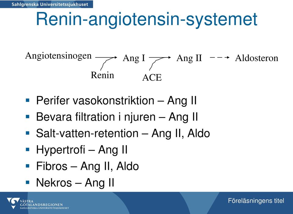 Bevara filtration i njuren Ang II Salt-vatten-retention