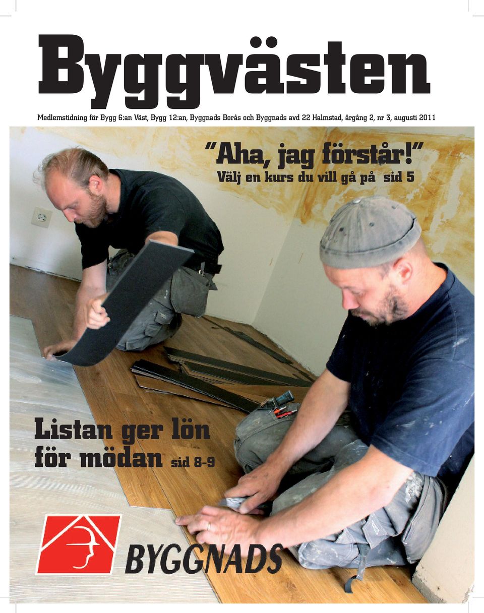 årgång 2, nr 3, augusti 2011 Aha, jag förstår!