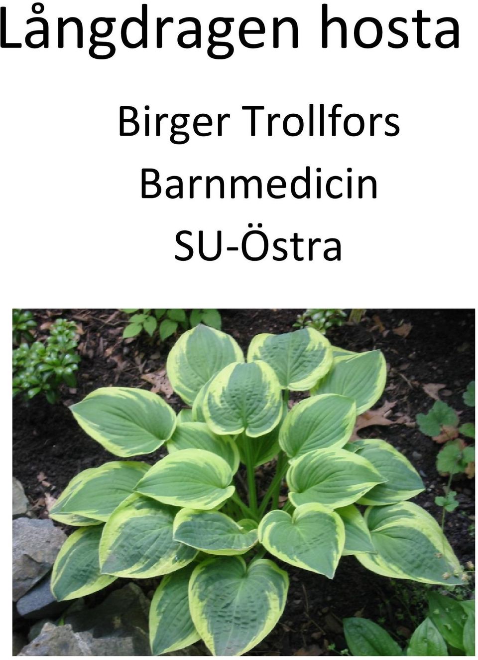 Trollfors