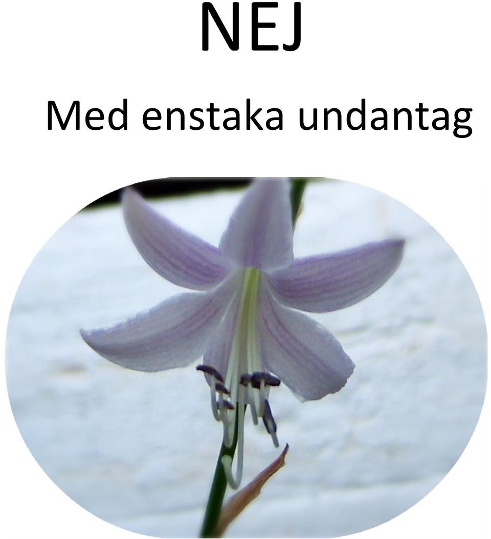 undantag