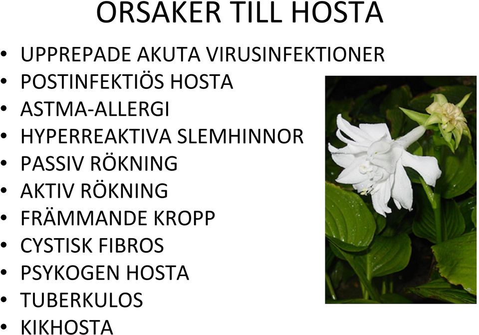 SLEMHINNOR PASSIV RÖKNING AKTIV RÖKNING FRÄMMANDE