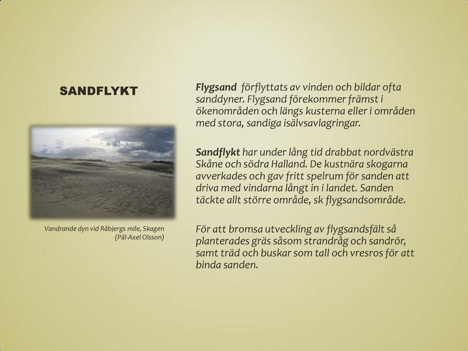 Sandflykt har under lång tid drabbat nordvästra Skåne och södra Halland.