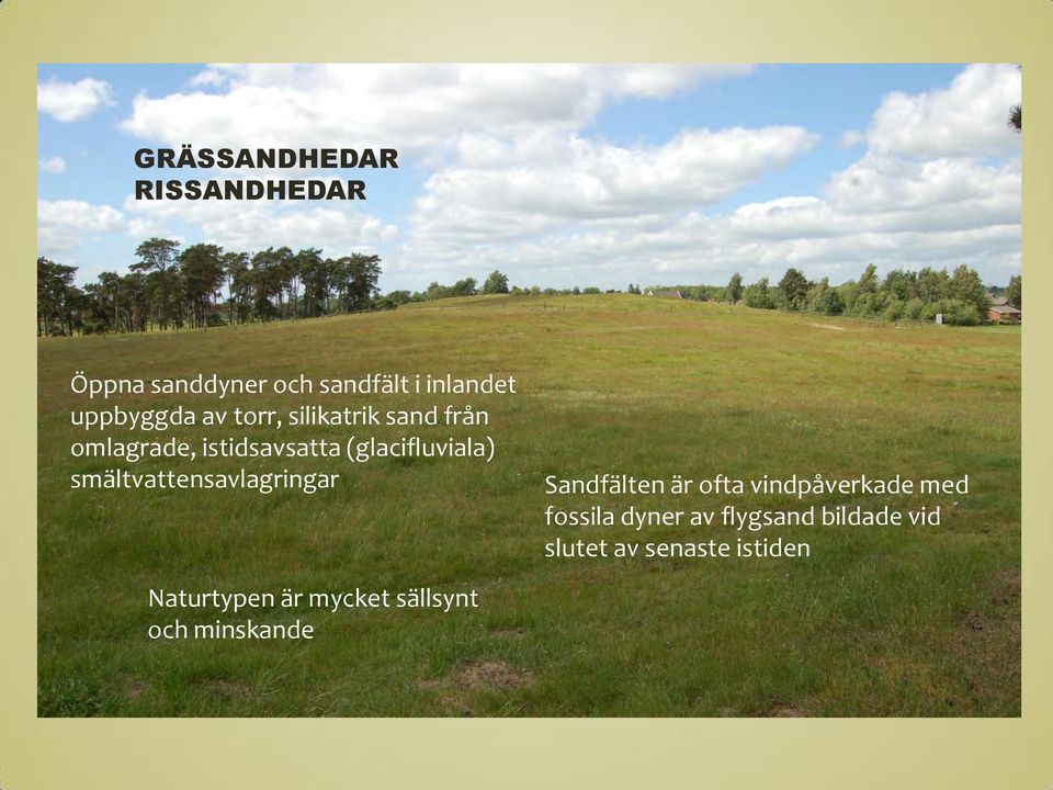 smältvattensavlagringar Sandfälten är ofta vindpåverkade med fossila dyner av