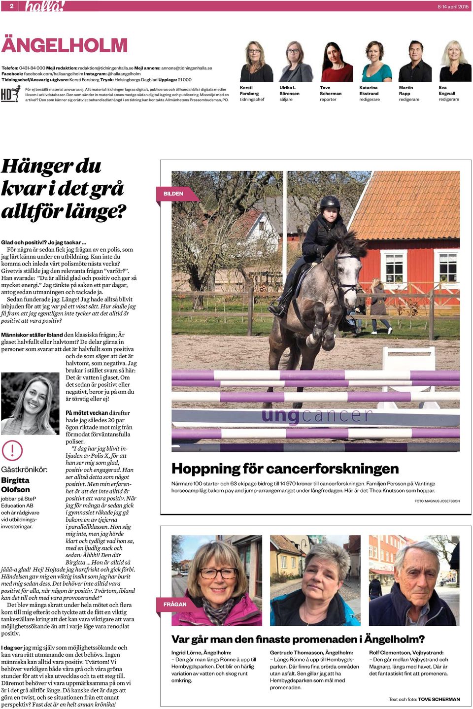 Under ett par r har denna okastrerade gosse strukit omkring i Strvelstorp utanfr ngelholm. I slutet av sommaren brjade Lilla Gubben, som man kallar honom, bli mager och ena rat har blivit Sker stdhem/hem till 3 hemlsa katter. Under ett par r har denna okastrerade gosse strukit omkring i