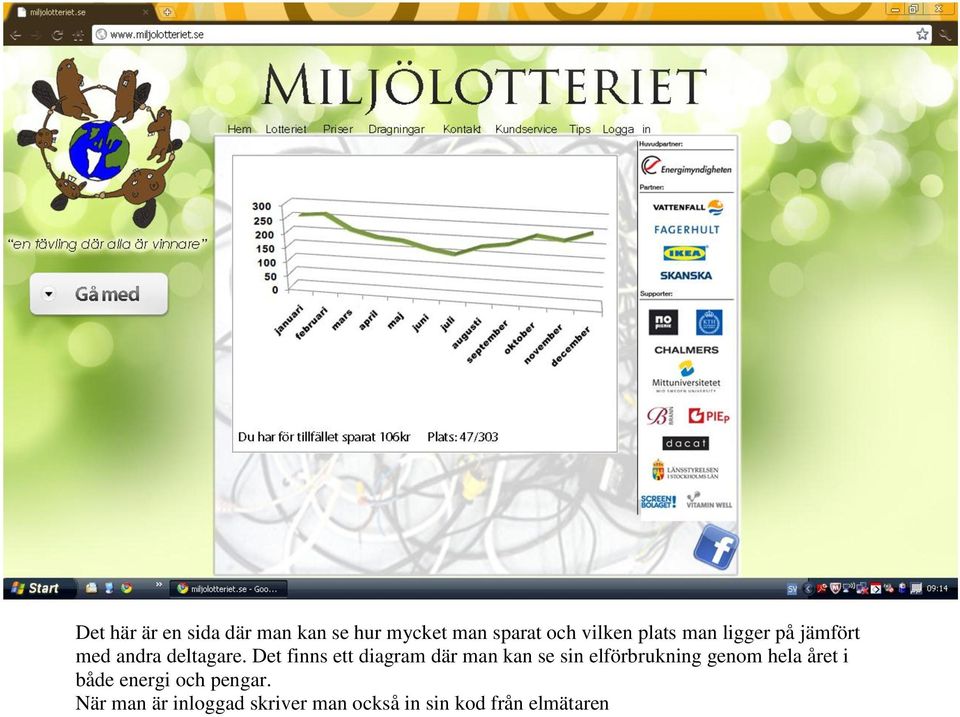 Det finns ett diagram där man kan se sin elförbrukning genom hela