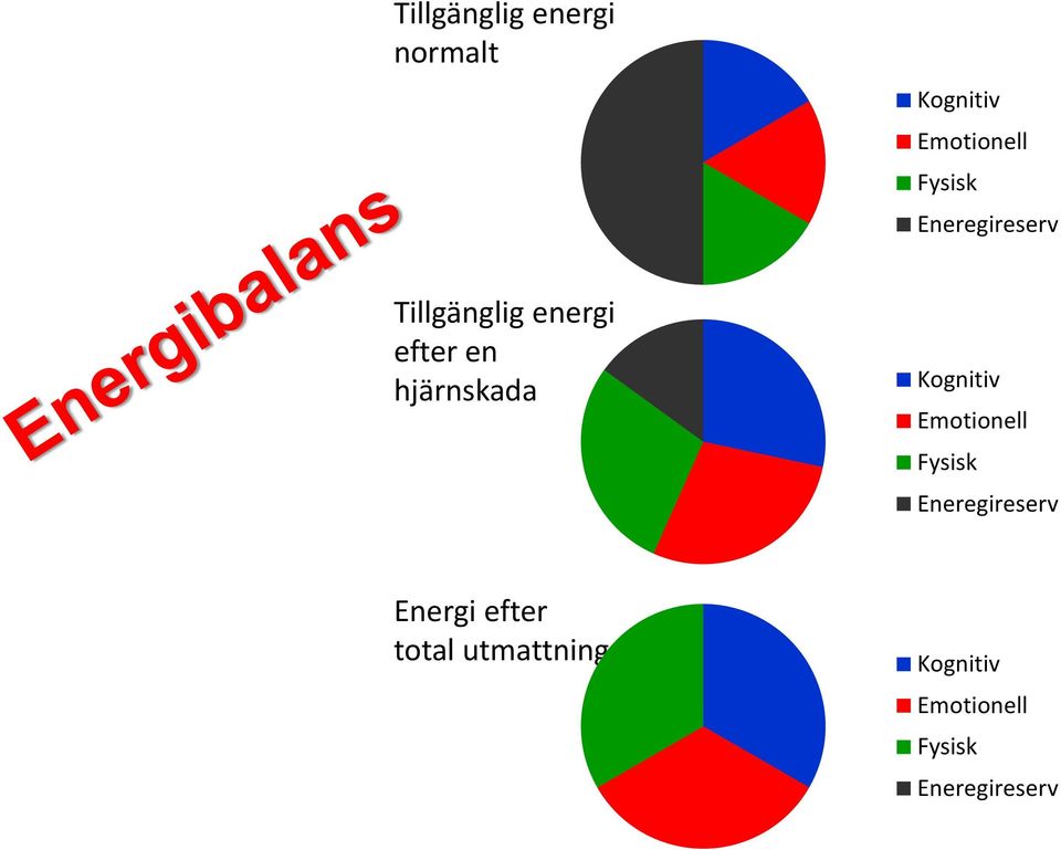 Kognitiv Emotionell Fysisk Eneregireserv Energi efter