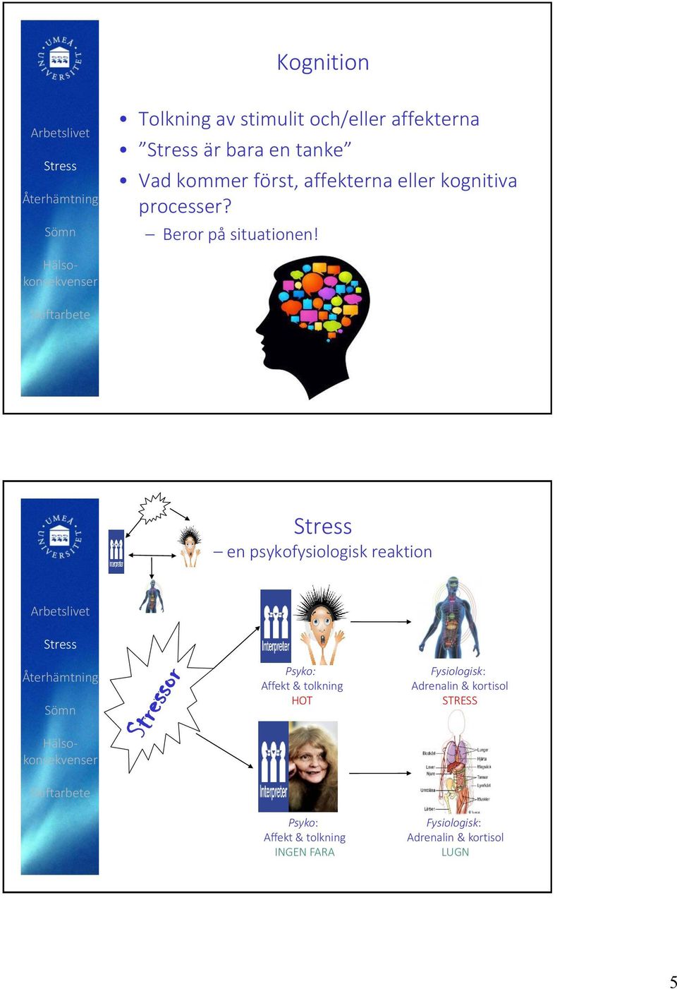 en psykofysiologisk reaktion Psyko: Affekt & tolkning HOT Fysiologisk: Adrenalin