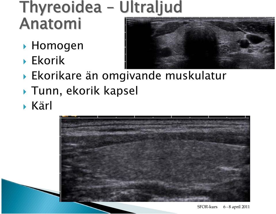 Ekorikare än omgivande