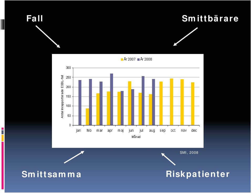 SMI, 2008