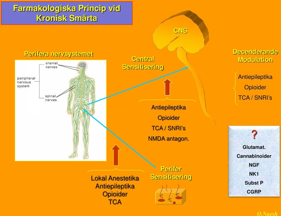 Opioider TCA / SNRI s NMDA antagon.