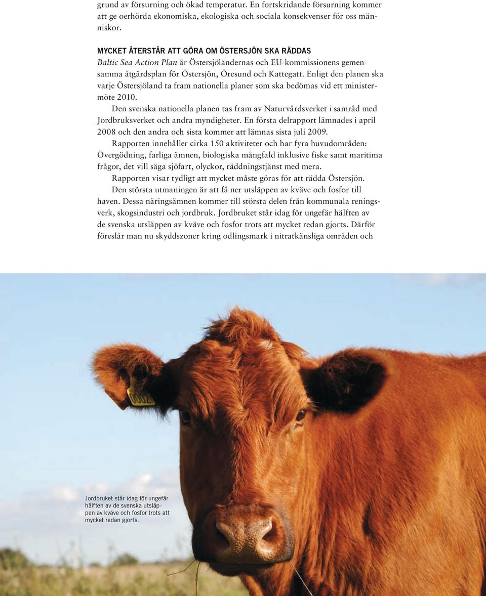Enligt den planen ska varje Östersjöland ta fram nationella planer som ska bedömas vid ett ministermöte 2010.