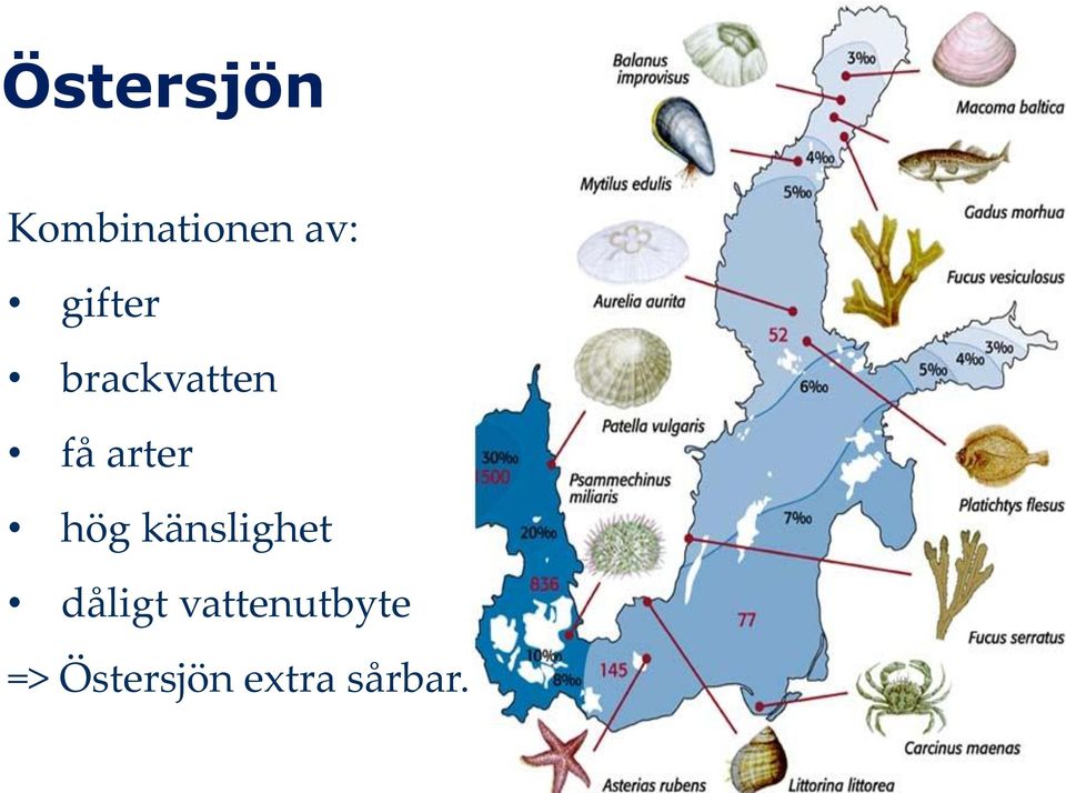 hög känslighet dåligt