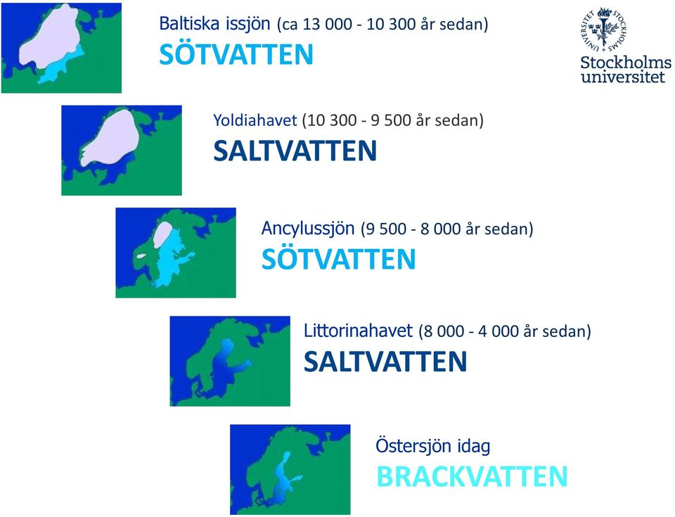 Ancylussjön (9 500-8 000 år sedan) SÖTVATTEN