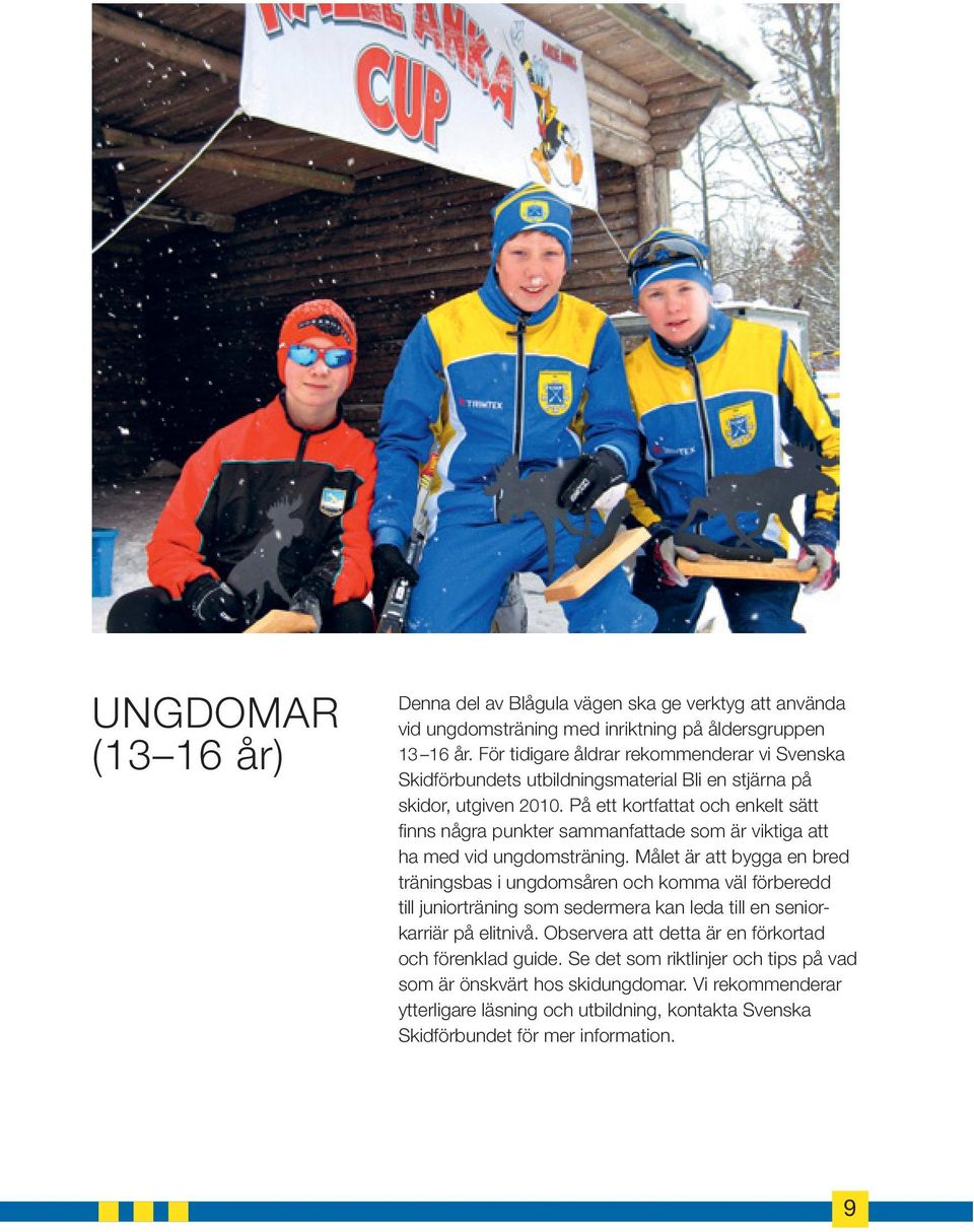 På ett kortfattat och enkelt sätt finns några punkter sammanfattade som är viktiga att ha med vid ungdomsträning.