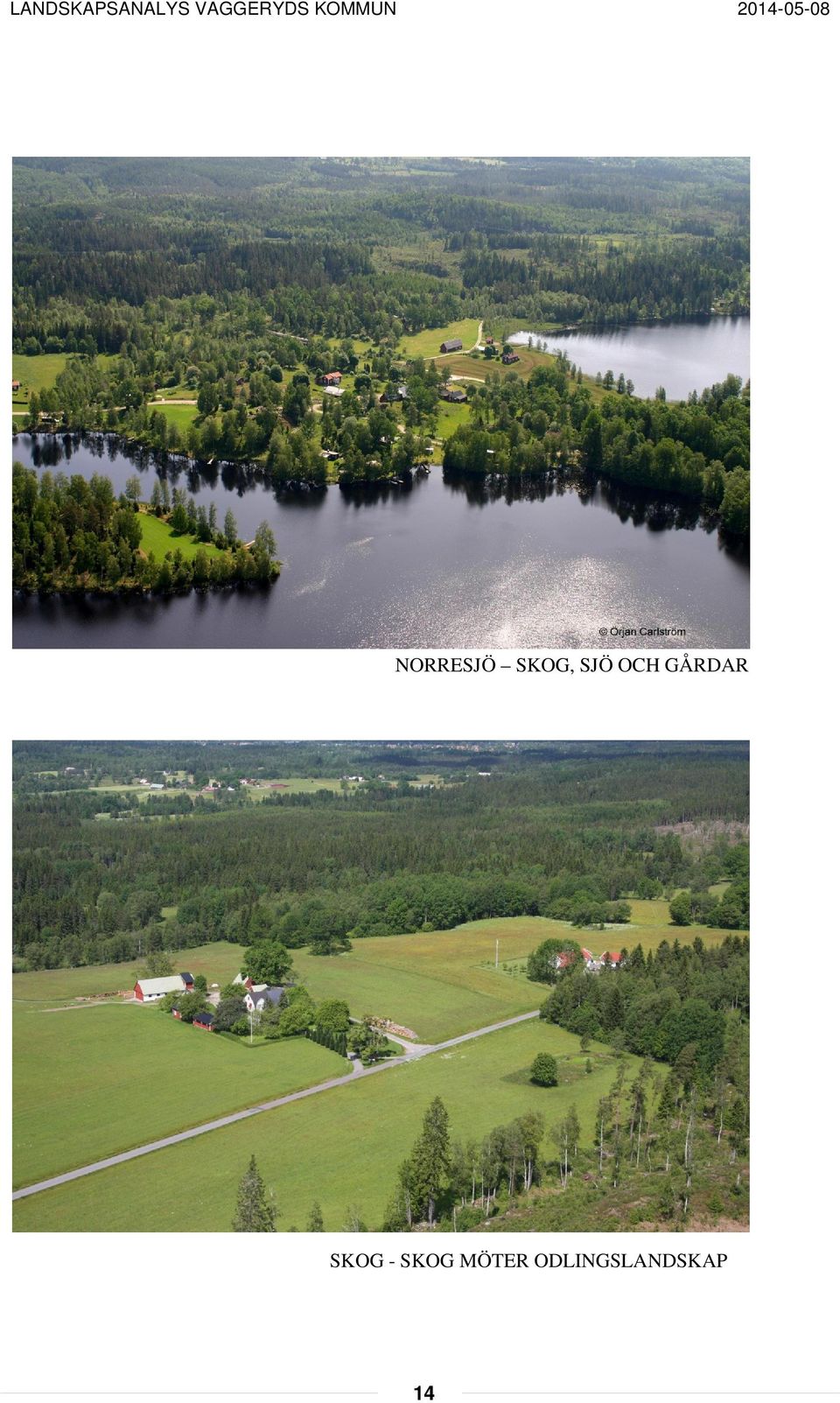 SKOG - SKOG