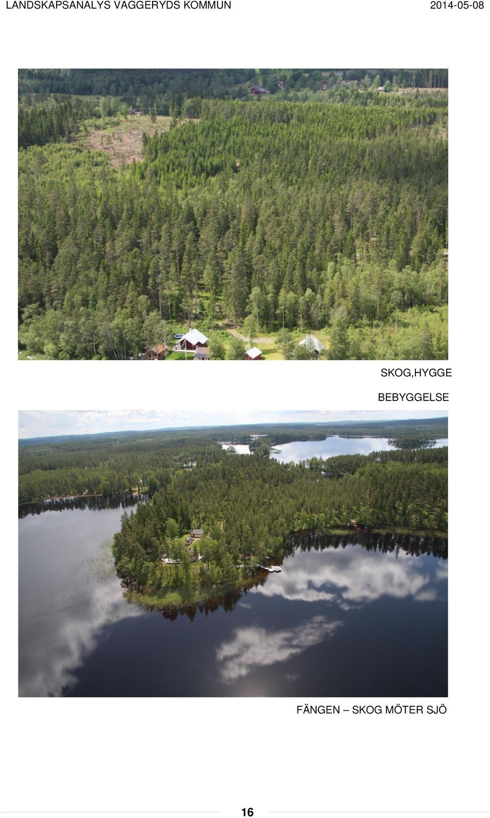 FÄNGEN SKOG