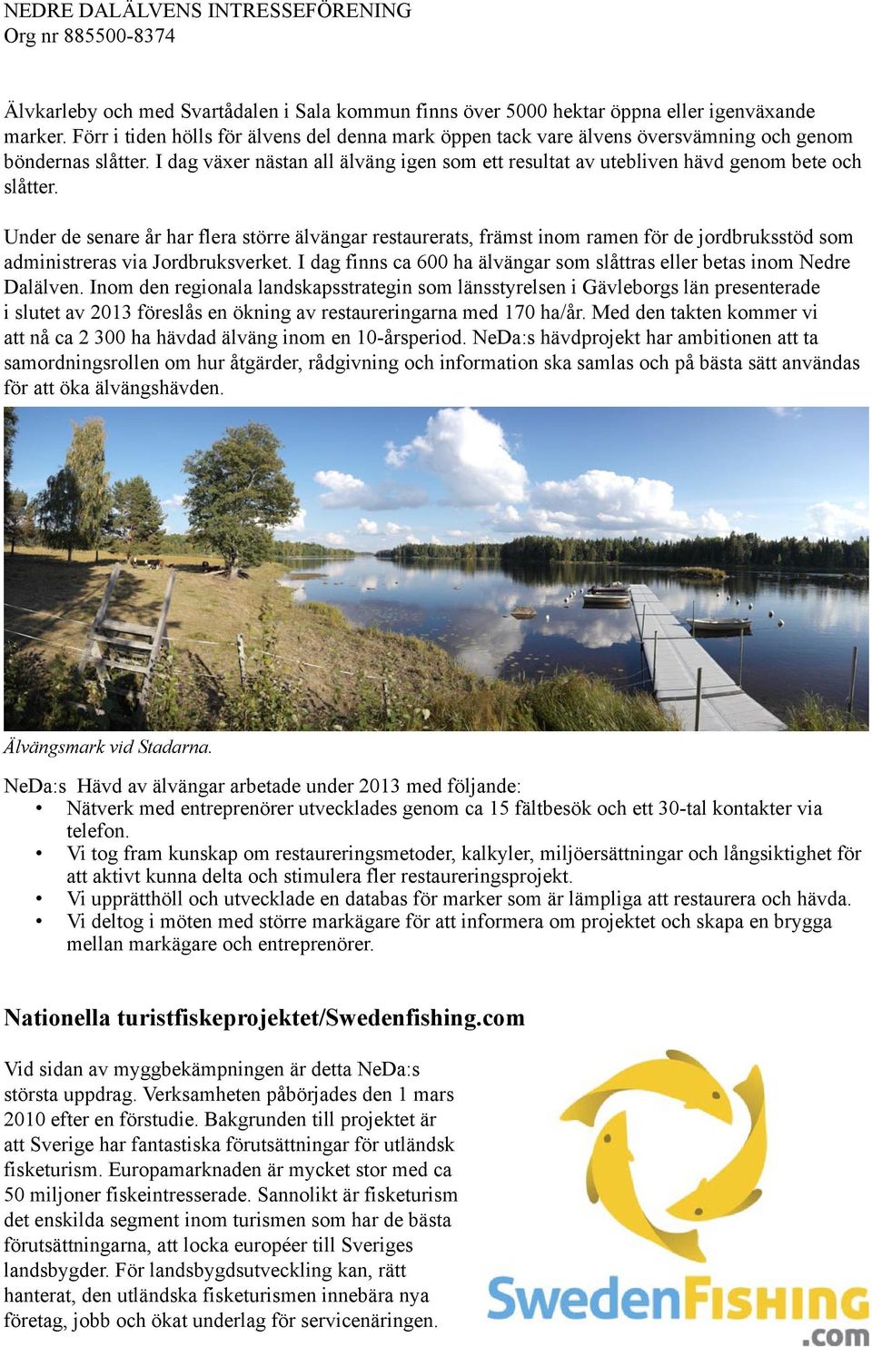 I dag växer nästan all älväng igen som ett resultat av utebliven hävd genom bete och slåtter.
