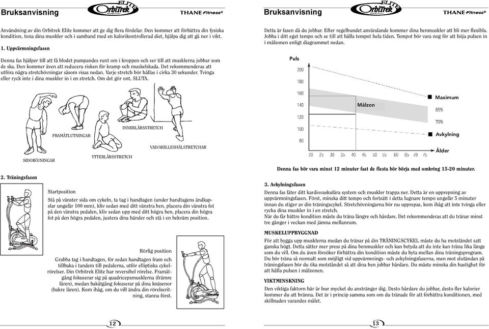 Uppvärmningsfasen Denna fas hjälper till att få blodet pumpandes runt om i kroppen och ser till att musklerna jobbar som de ska. Den kommer även att reducera risken för kramp och muskelskada.