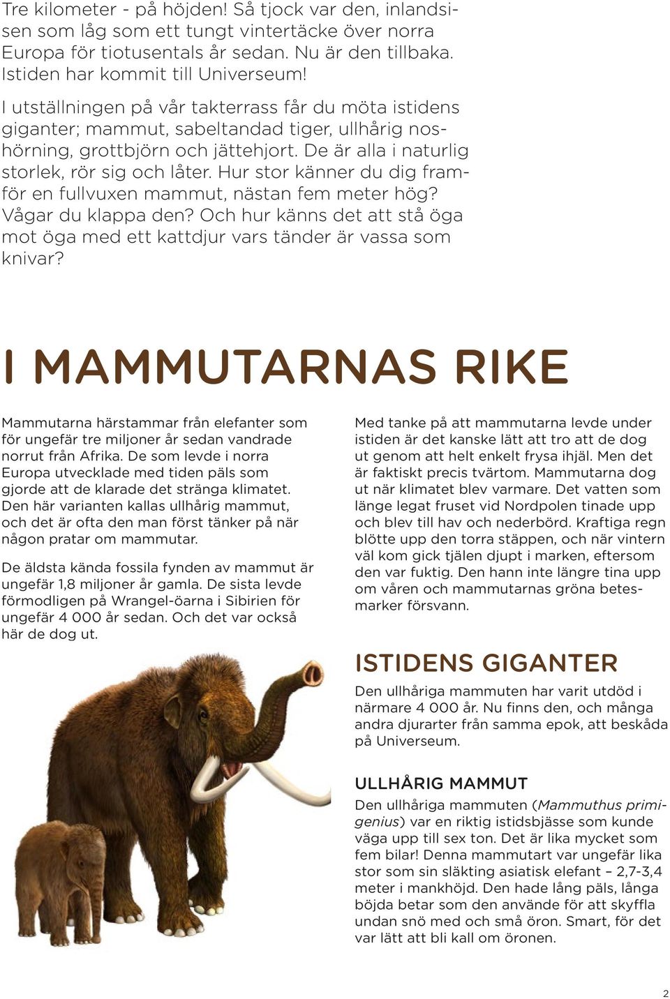 Hur stor känner du dig framför en fullvuxen mammut, nästan fem meter hög? Vågar du klappa den? Och hur känns det att stå öga mot öga med ett kattdjur vars tänder är vassa som knivar?