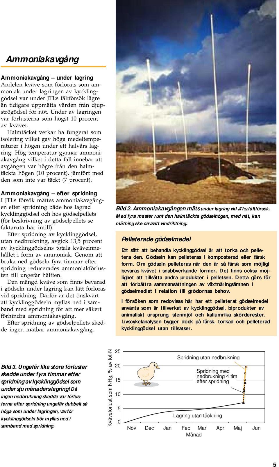 Hög temperatur gynnar ammoniakavgång vilket i detta fall innebar att avgången var högre från den halmtäckta högen (10 procent), jämfört med den som inte var täckt (7 procent).