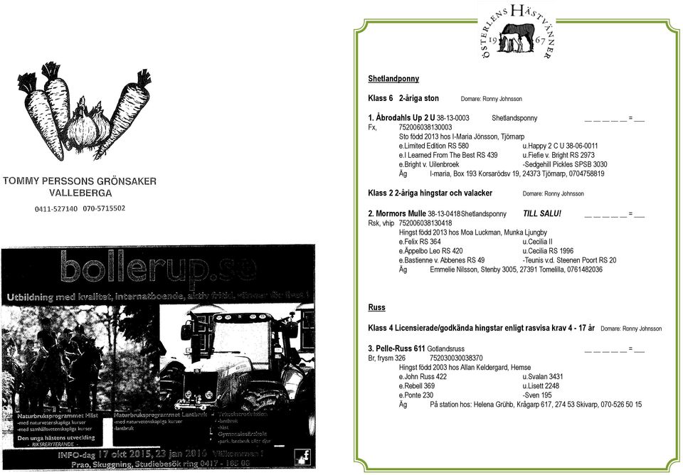 Uilenbroek -Sedgehill Pickles SPSB 3030 Äg I-maria, Box 193 Korsarödsv 19, 24373 Tjörnarp, 0704758819 Klass 2 2-åriga hingstar och valacker 2. Mormors Mulle 38-13-0418 Shetlandsponny TILL SALU!