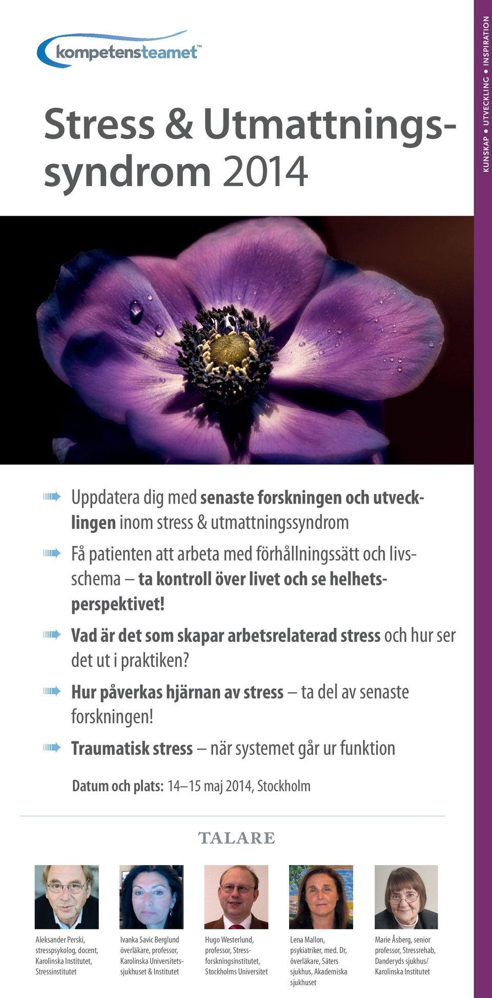 Hur påverkas hjärnan av stress ta del av senaste forskningen!