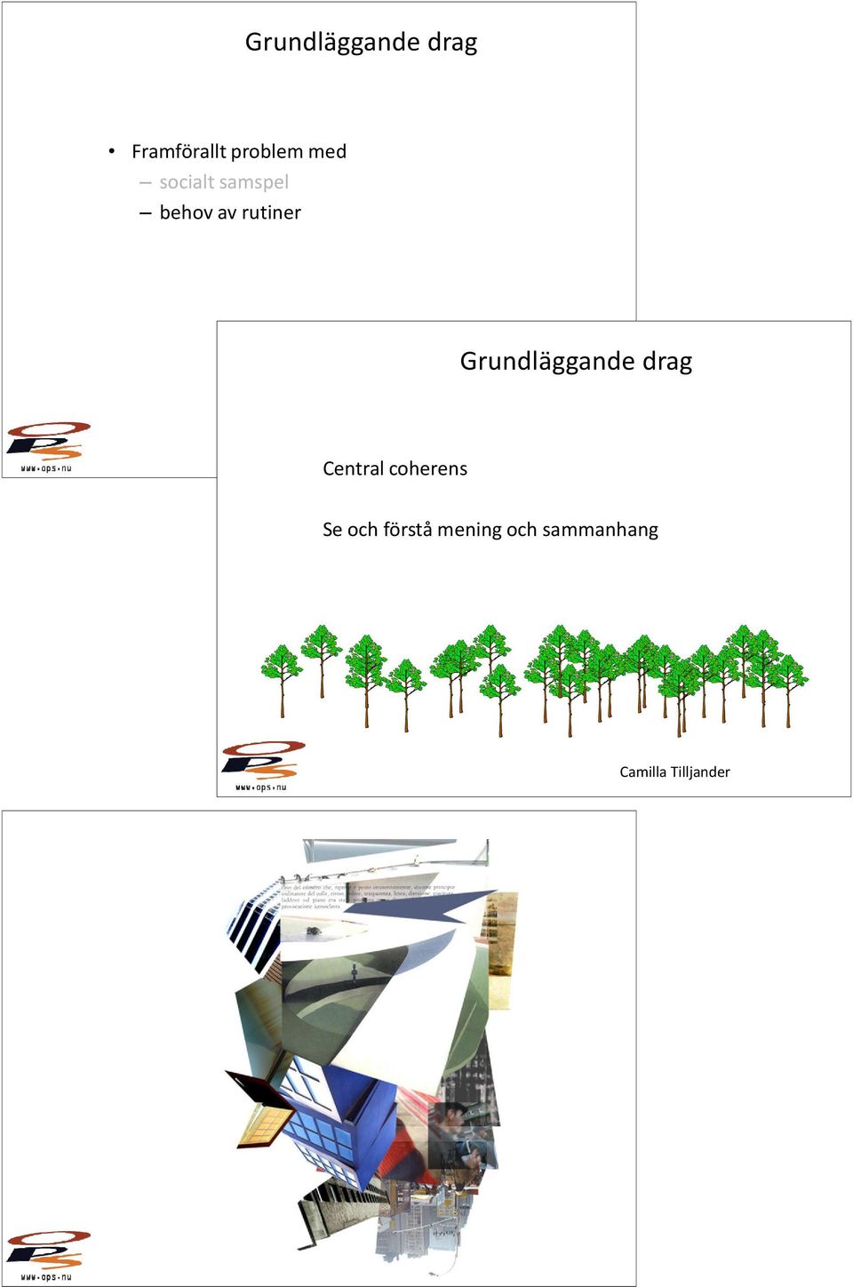 Grundläggande drag Central coherens Se