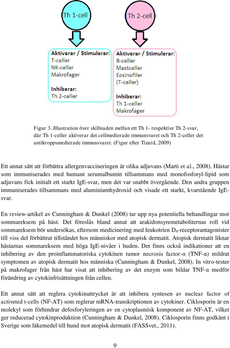 Hästar som immuniserades med humant serumalbumin tillsammans med monofosforyl-lipid som adjuvans fick initialt ett starkt IgE-svar, men det var snabbt övergående.