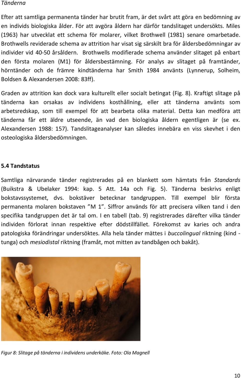 Brothwells reviderade schema av attrition har visat sig särskilt bra för åldersbedömningar av individer vid 40-50 årsåldern.