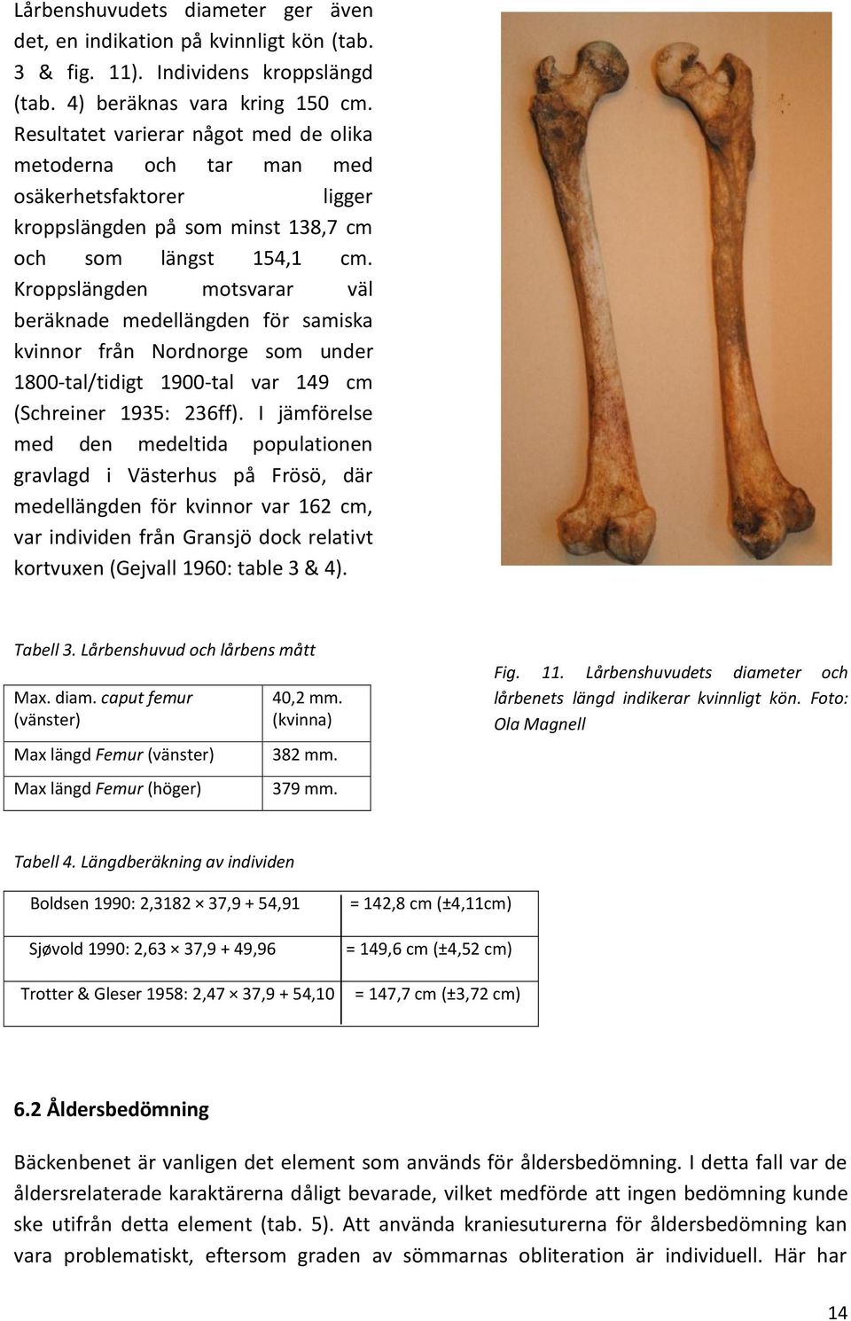 Kroppslängden motsvarar väl beräknade medellängden för samiska kvinnor från Nordnorge som under 1800-tal/tidigt 1900-tal var 149 cm (Schreiner 1935: 236ff).