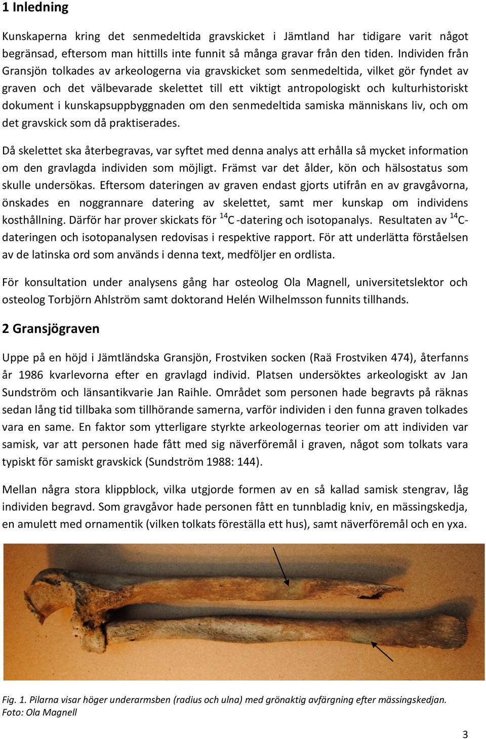 dokument i kunskapsuppbyggnaden om den senmedeltida samiska människans liv, och om det gravskick som då praktiserades.