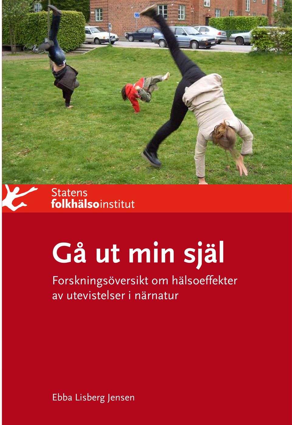 hälsoeffekter av