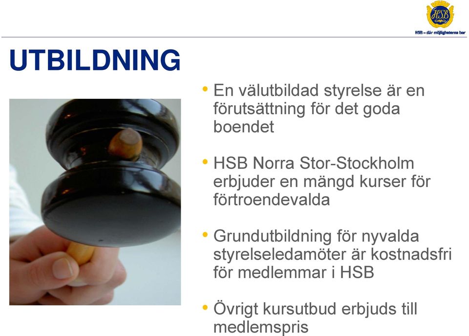 förtroendevalda Grundutbildning för nyvalda styrelseledamöter är