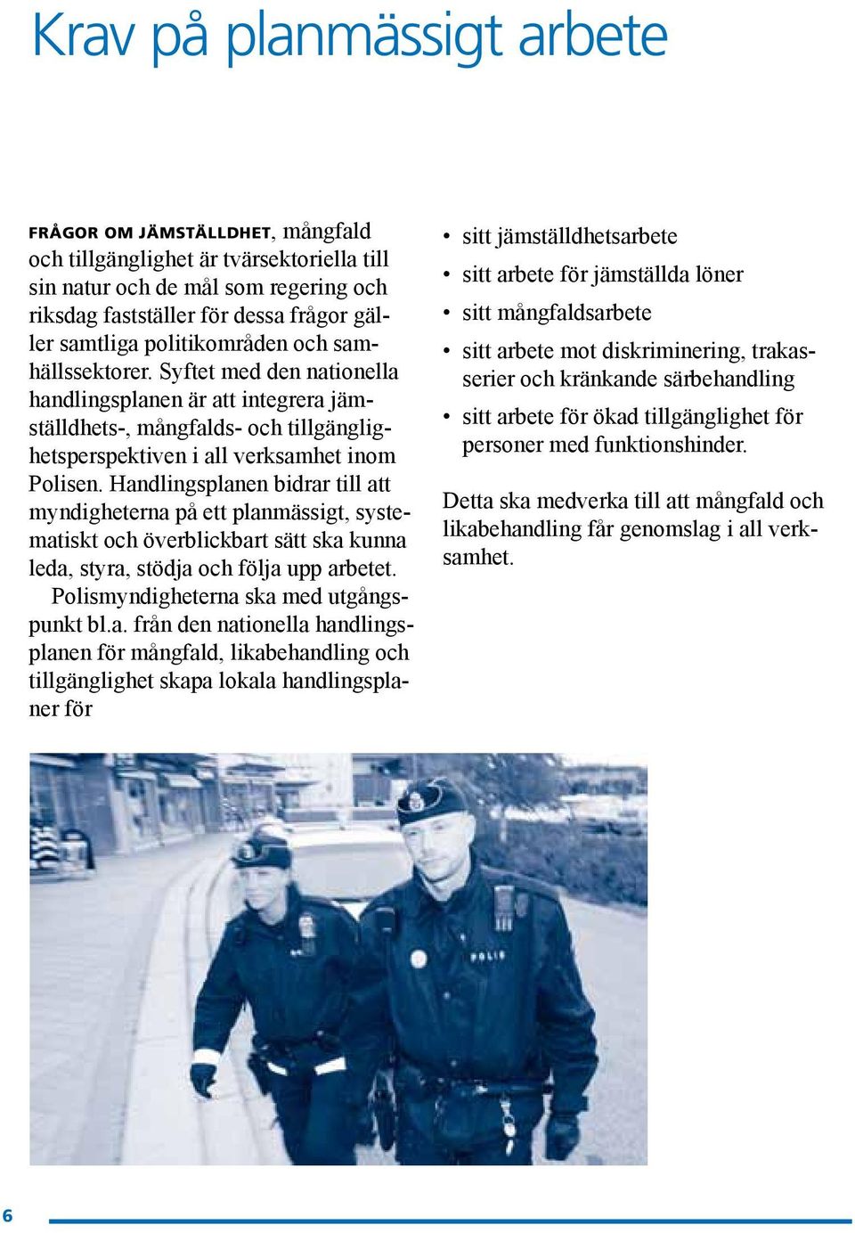 Handlingsplanen bidrar till att myndigheterna på ett planmässigt, systematiskt och överblickbart sätt ska kunna leda, styra, stödja och följa upp arbetet. Polismyndigheterna ska med utgångspunkt