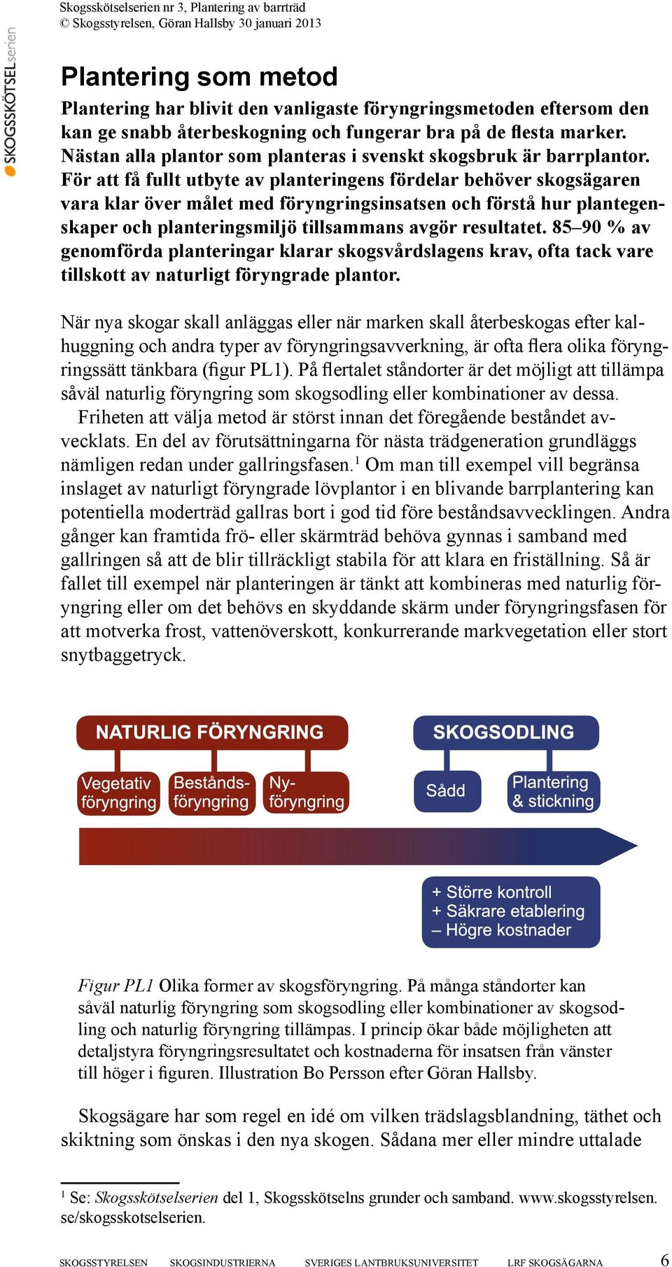 För att få fullt utbyte av planteringens fördelar behöver skogsägaren vara klar över målet med föryngringsinsatsen och förstå hur plantegenskaper och planteringsmiljö tillsammans avgör resultatet.