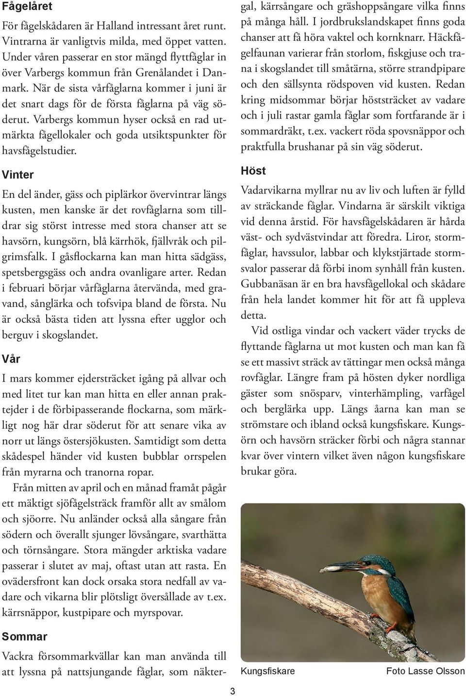 Varbergs kommun hyser också en rad utmärkta fågellokaler och goda utsiktspunkter för havsfågelstudier.