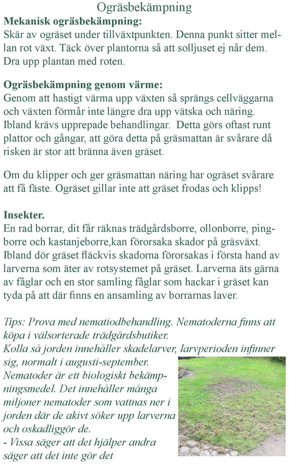 Detta görs oftast runt plattor och gångar, att göra detta på gräsmattan är svårare då risken är stor att bränna även gräset. Om du klipper och ger gräsmattan näring har ogräset svårare att få fäste.