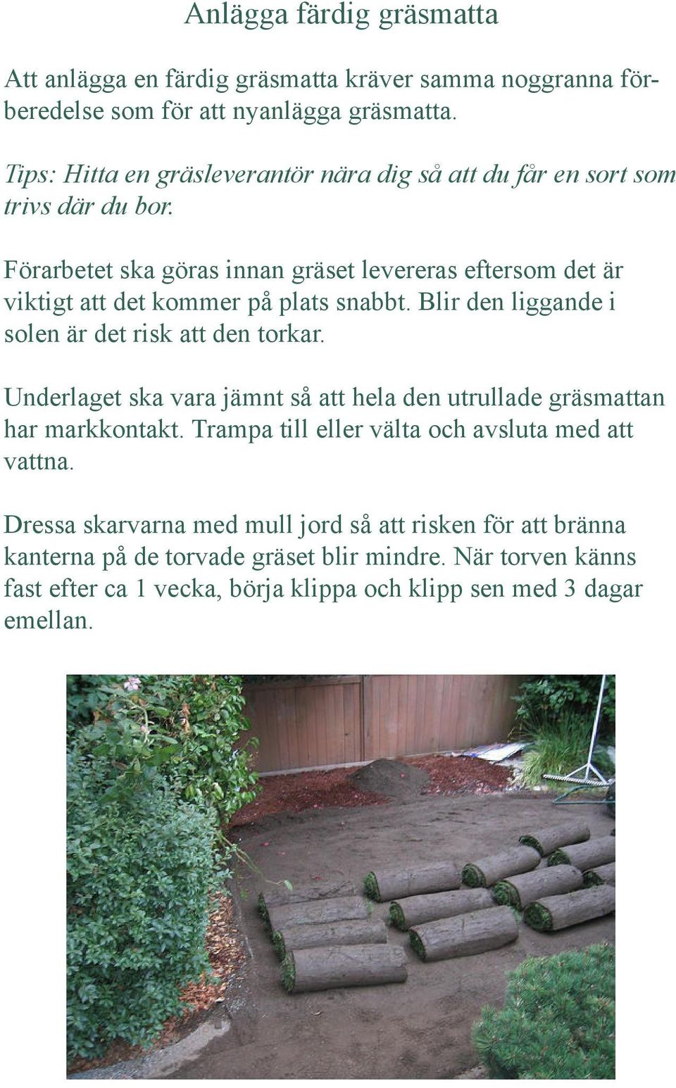 Förarbetet ska göras innan gräset levereras eftersom det är viktigt att det kommer på plats snabbt. Blir den liggande i solen är det risk att den torkar.