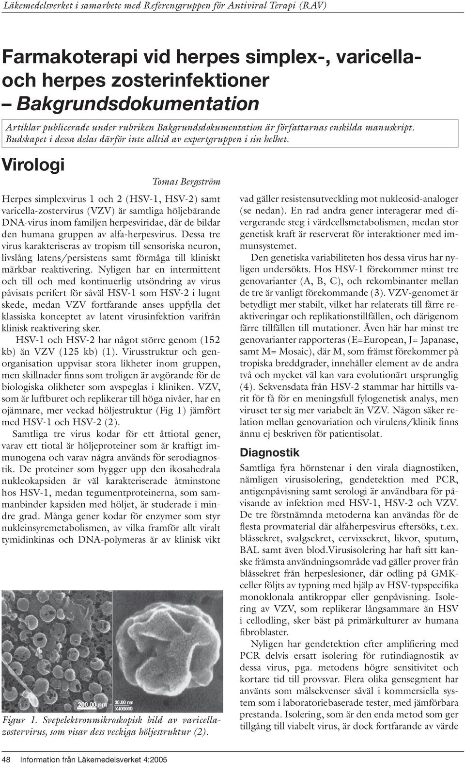 Virologi Tomas Bergström Herpes simplexvirus 1 och 2 (HSV-1, HSV-2) samt varicella-zostervirus (VZV) är samtliga höljebärande DNA-virus inom familjen herpesviridae, där de bildar den humana gruppen