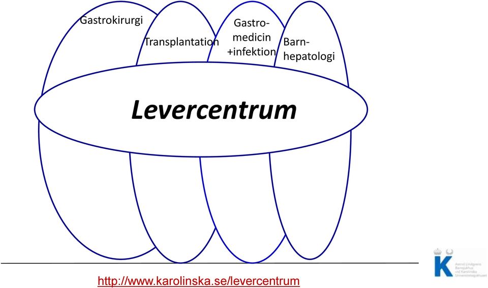 hepatologi Levercentrum